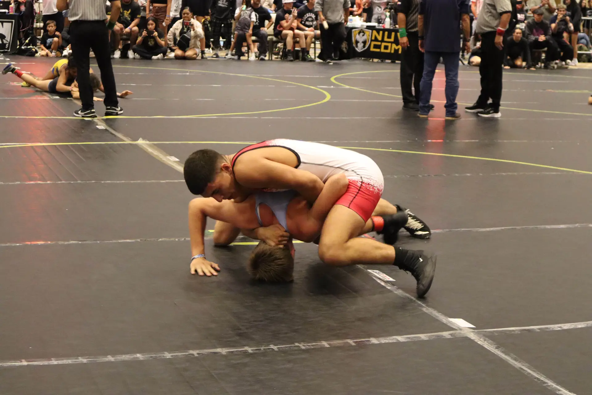 Wrestling technique
